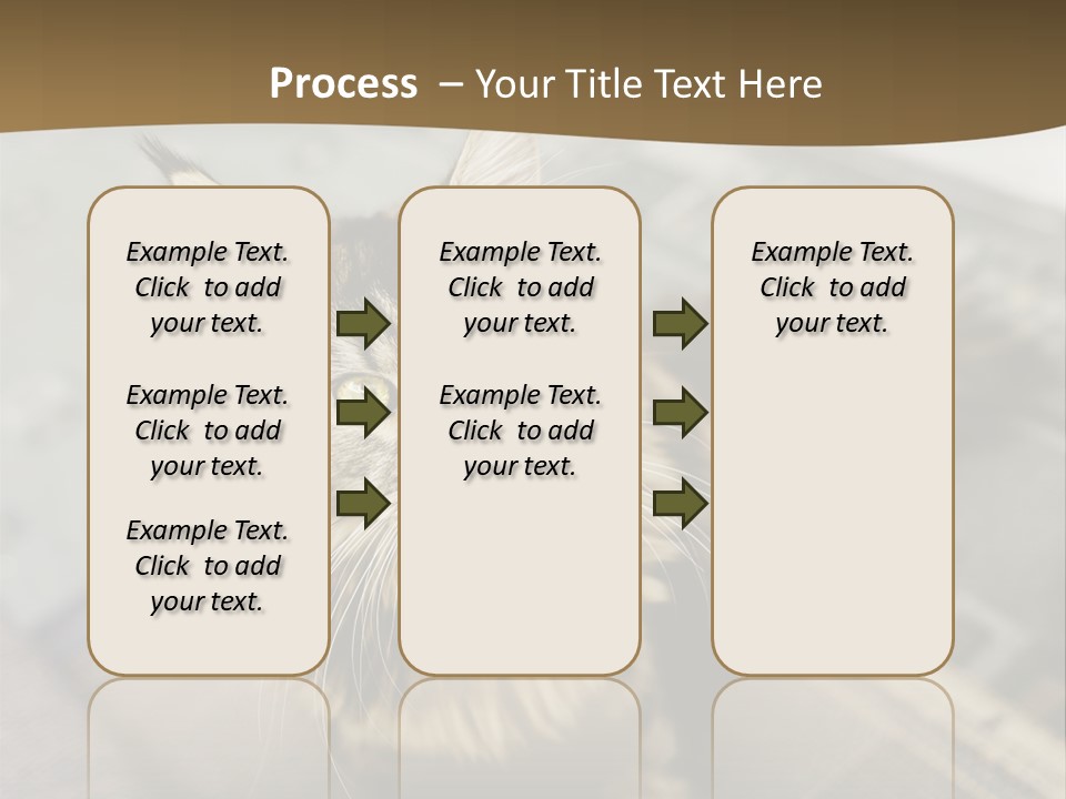 A Cat Sitting On Top Of A Rug In A Room PowerPoint Template