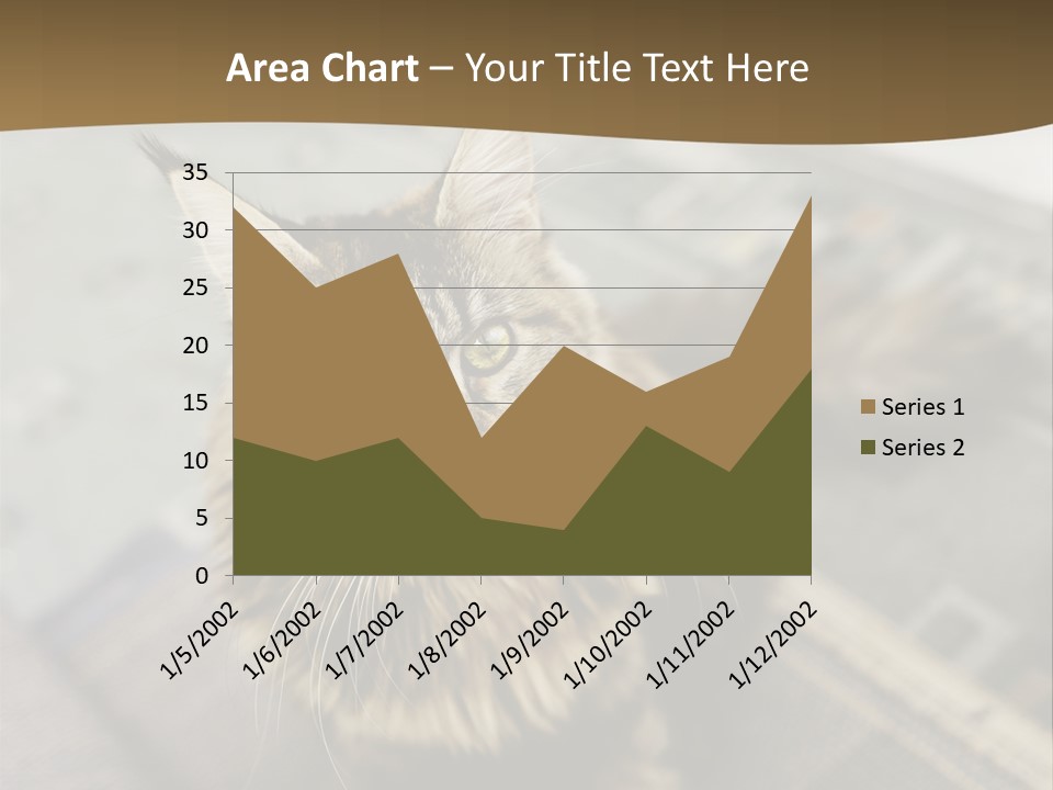 A Cat Sitting On Top Of A Rug In A Room PowerPoint Template