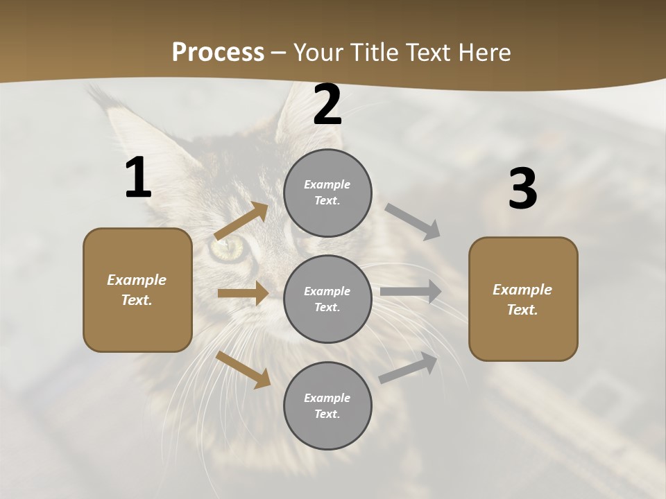 A Cat Sitting On Top Of A Rug In A Room PowerPoint Template