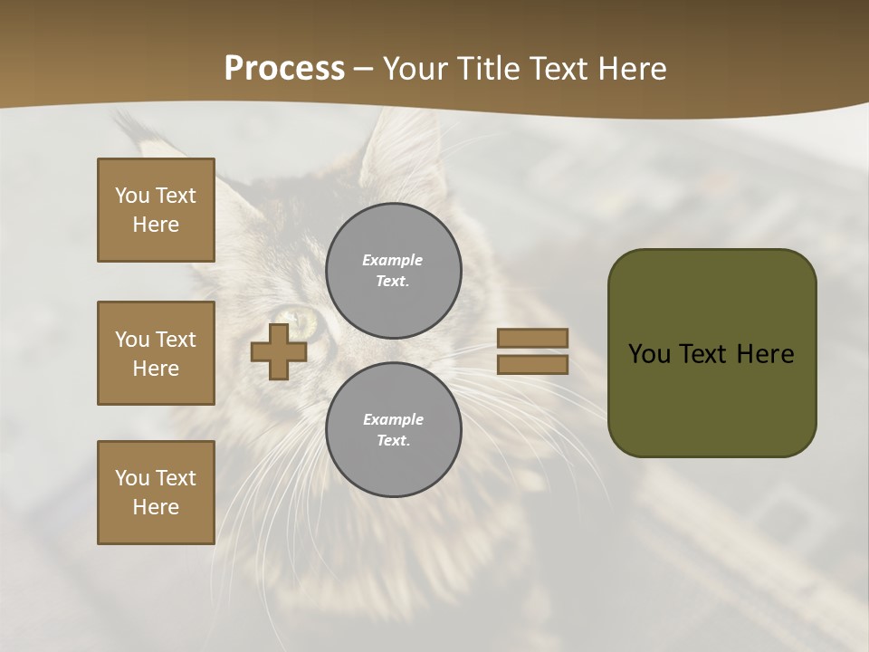 A Cat Sitting On Top Of A Rug In A Room PowerPoint Template