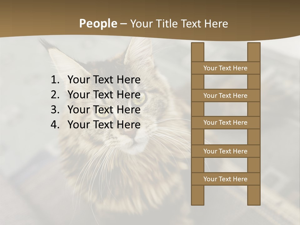 A Cat Sitting On Top Of A Rug In A Room PowerPoint Template