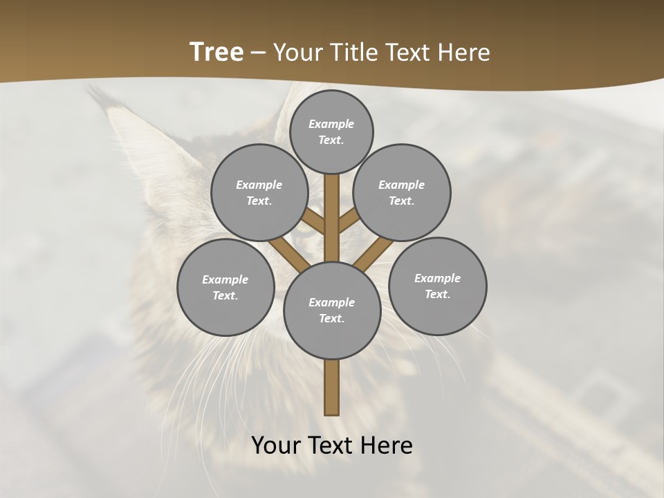 A Cat Sitting On Top Of A Rug In A Room PowerPoint Template