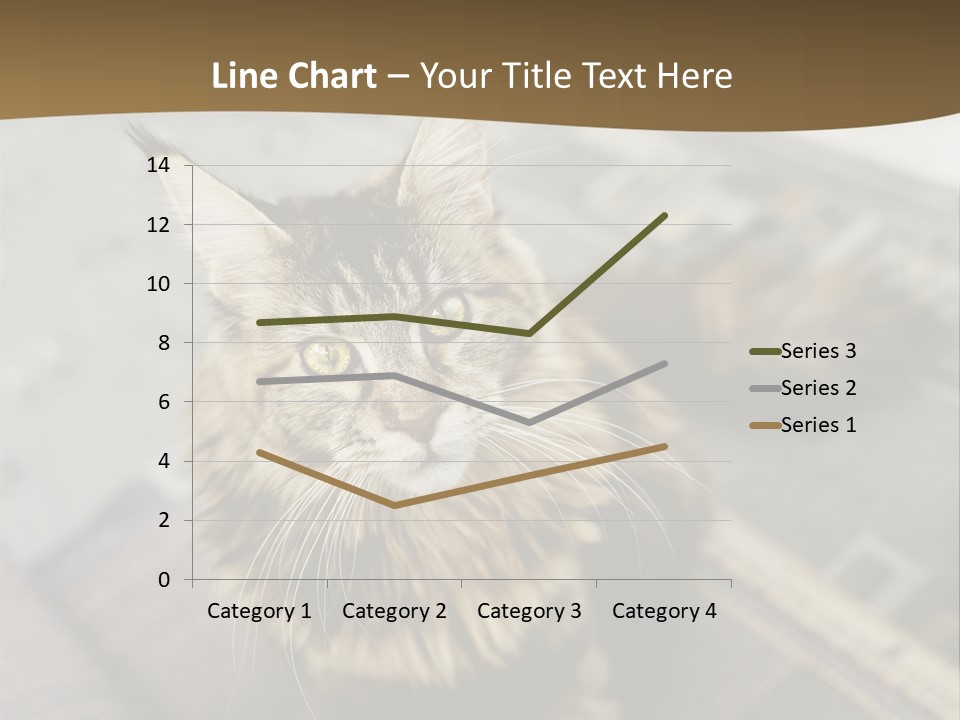 A Cat Sitting On Top Of A Rug In A Room PowerPoint Template