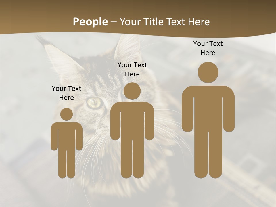 A Cat Sitting On Top Of A Rug In A Room PowerPoint Template