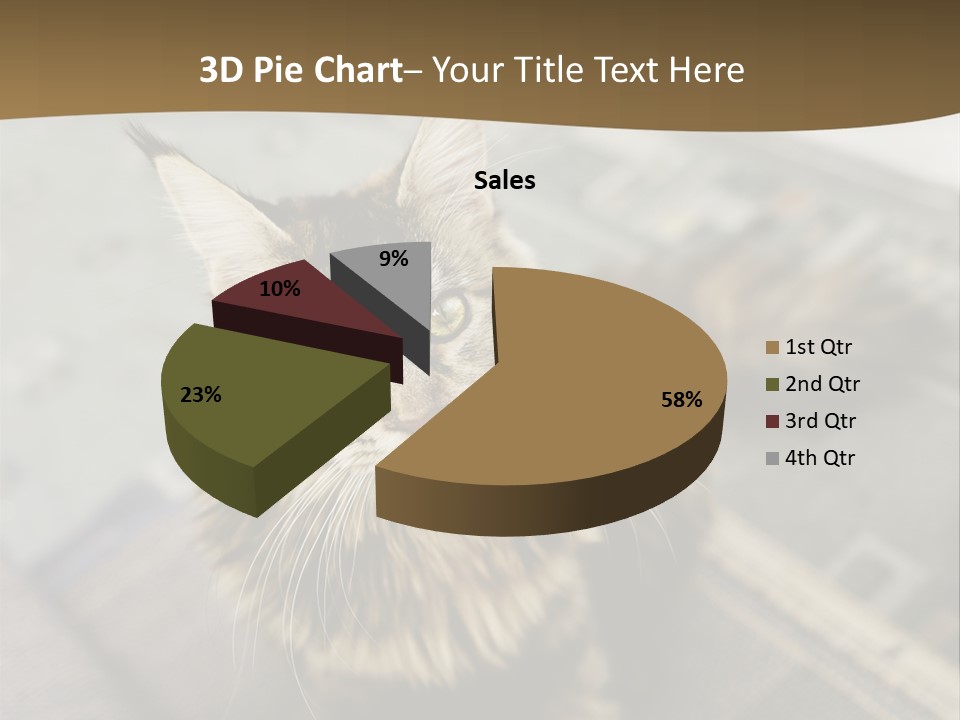 A Cat Sitting On Top Of A Rug In A Room PowerPoint Template