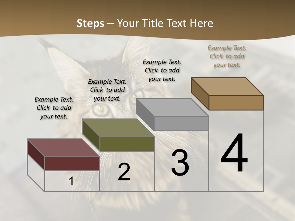 A Cat Sitting On Top Of A Rug In A Room PowerPoint Template