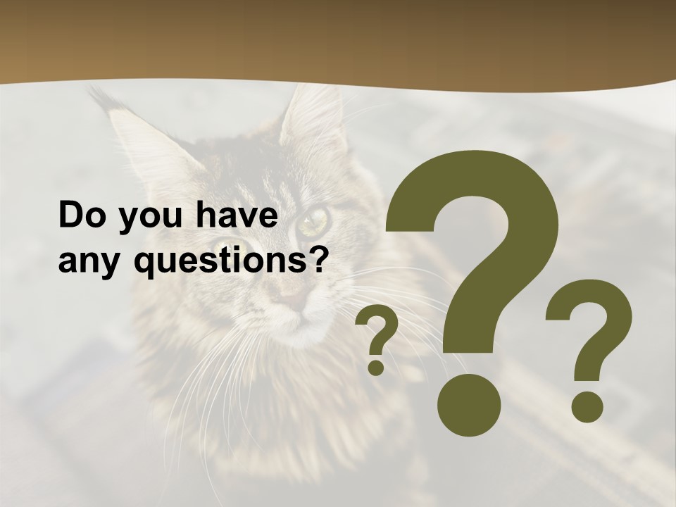 A Cat Sitting On Top Of A Rug In A Room PowerPoint Template