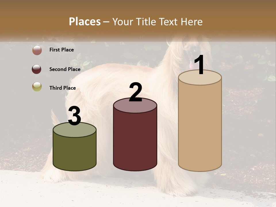 A Shaggy Dog Standing In Front Of A Bush PowerPoint Template