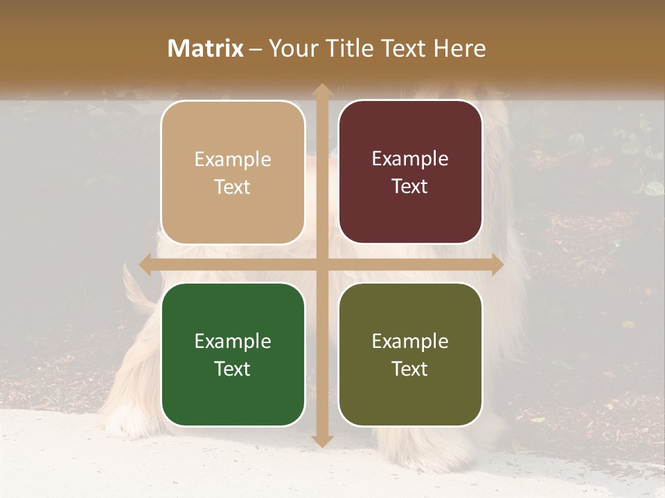 A Shaggy Dog Standing In Front Of A Bush PowerPoint Template