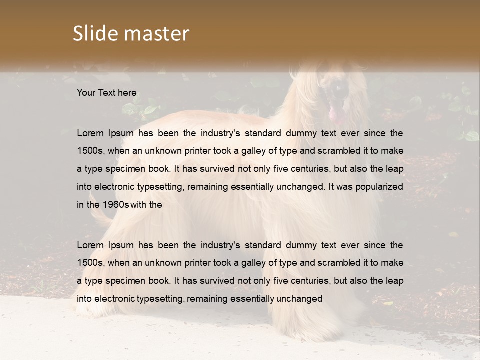 A Shaggy Dog Standing In Front Of A Bush PowerPoint Template