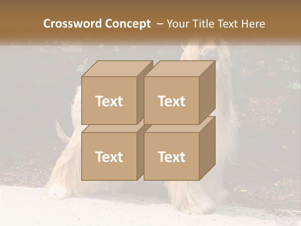 A Shaggy Dog Standing In Front Of A Bush PowerPoint Template