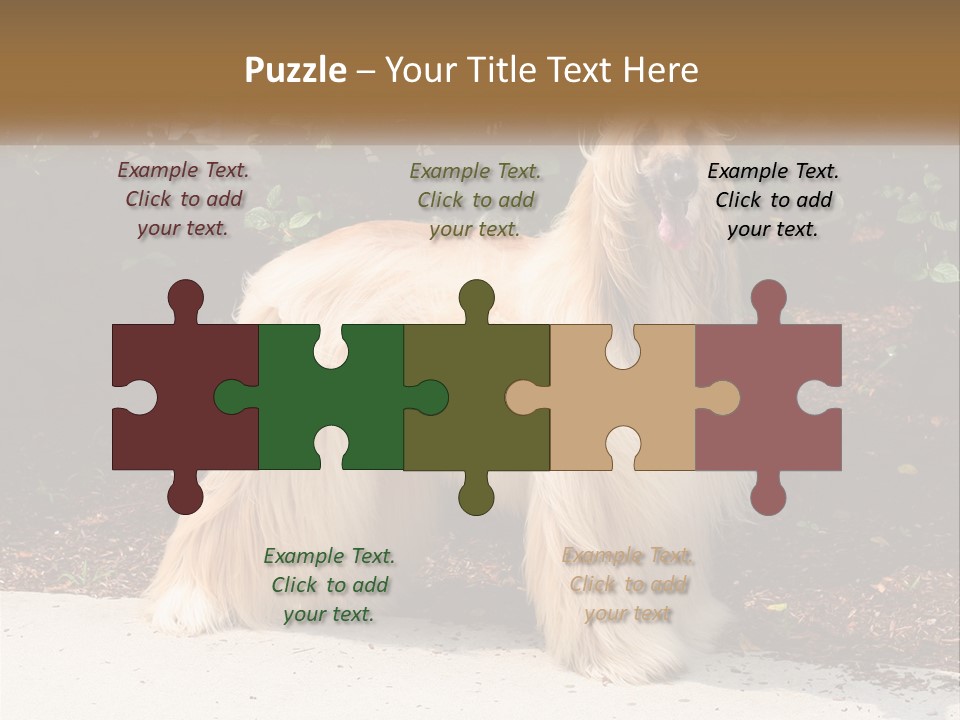 A Shaggy Dog Standing In Front Of A Bush PowerPoint Template