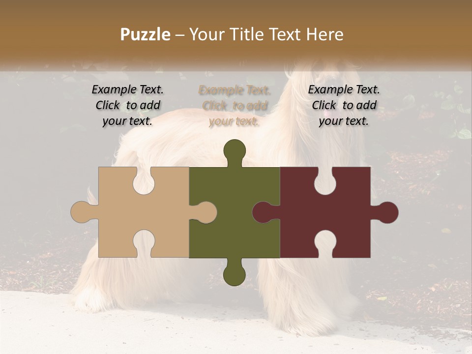 A Shaggy Dog Standing In Front Of A Bush PowerPoint Template