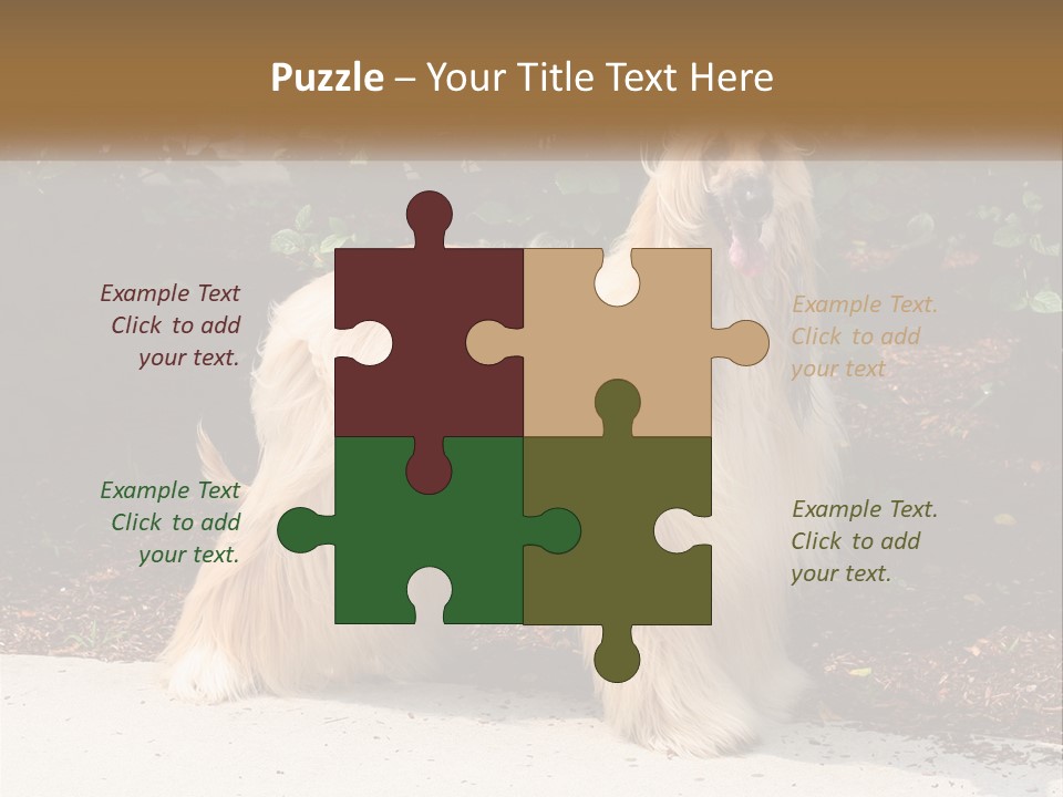 A Shaggy Dog Standing In Front Of A Bush PowerPoint Template