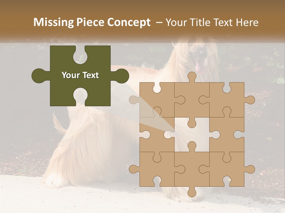 A Shaggy Dog Standing In Front Of A Bush PowerPoint Template