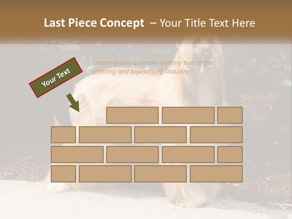 A Shaggy Dog Standing In Front Of A Bush PowerPoint Template
