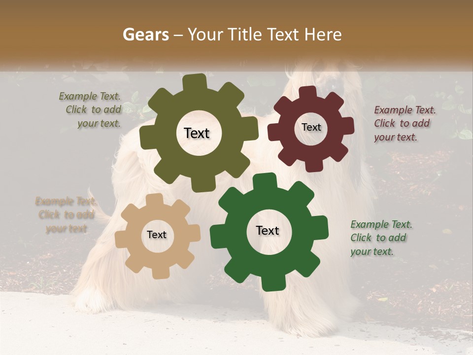 A Shaggy Dog Standing In Front Of A Bush PowerPoint Template