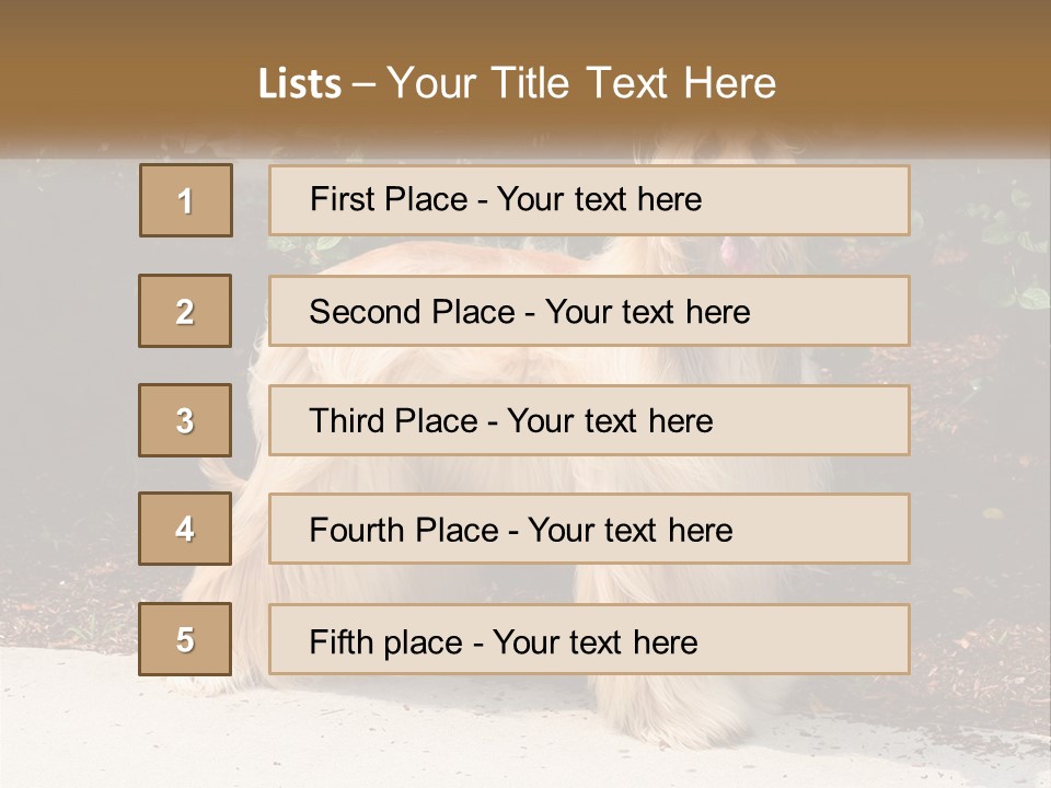 A Shaggy Dog Standing In Front Of A Bush PowerPoint Template