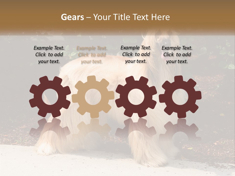 A Shaggy Dog Standing In Front Of A Bush PowerPoint Template