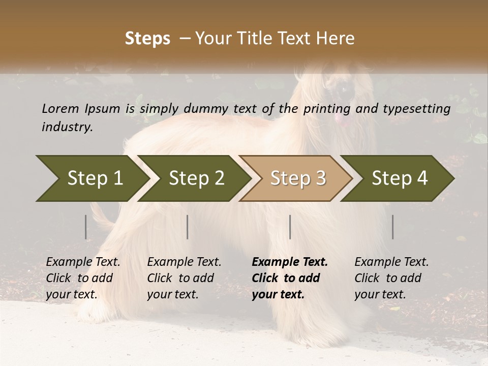 A Shaggy Dog Standing In Front Of A Bush PowerPoint Template