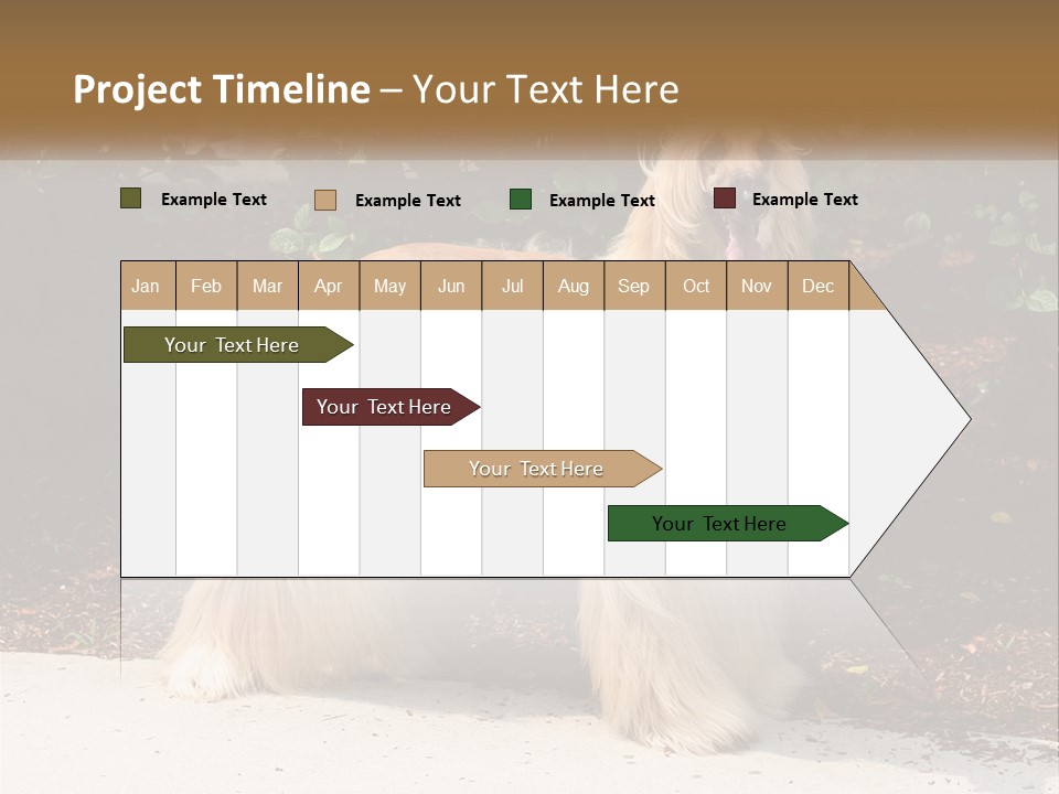 A Shaggy Dog Standing In Front Of A Bush PowerPoint Template
