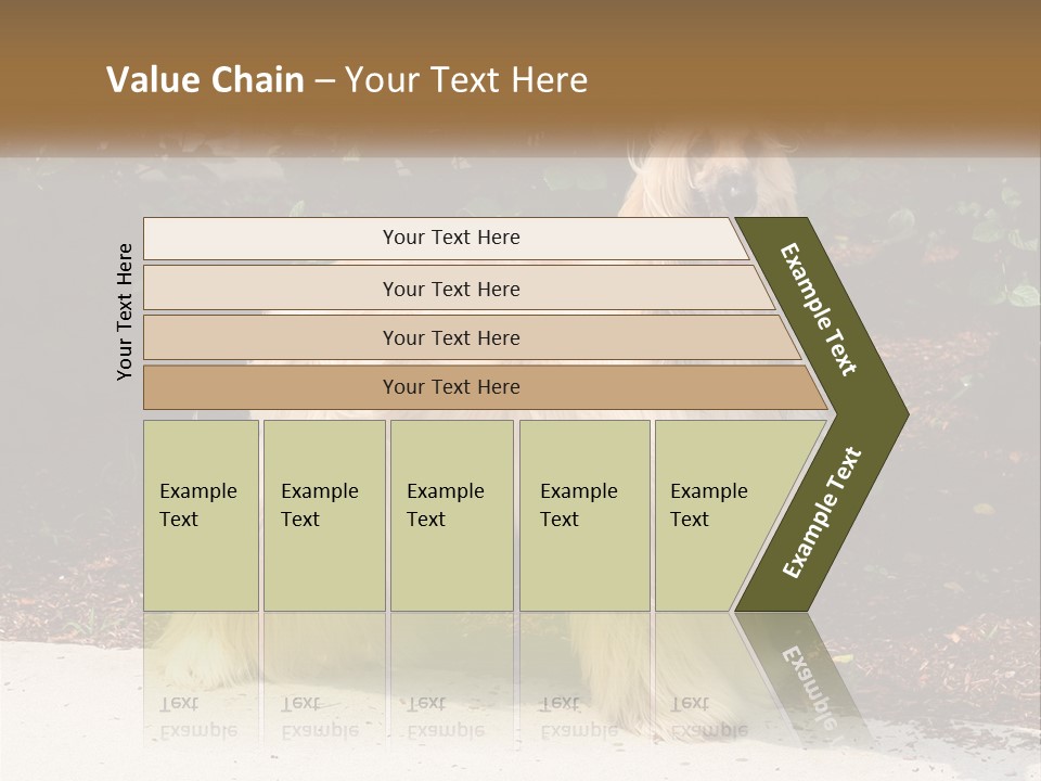 A Shaggy Dog Standing In Front Of A Bush PowerPoint Template