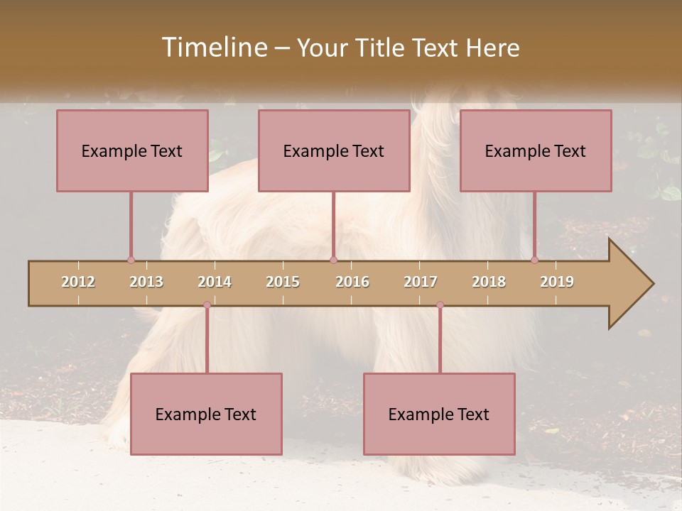 A Shaggy Dog Standing In Front Of A Bush PowerPoint Template