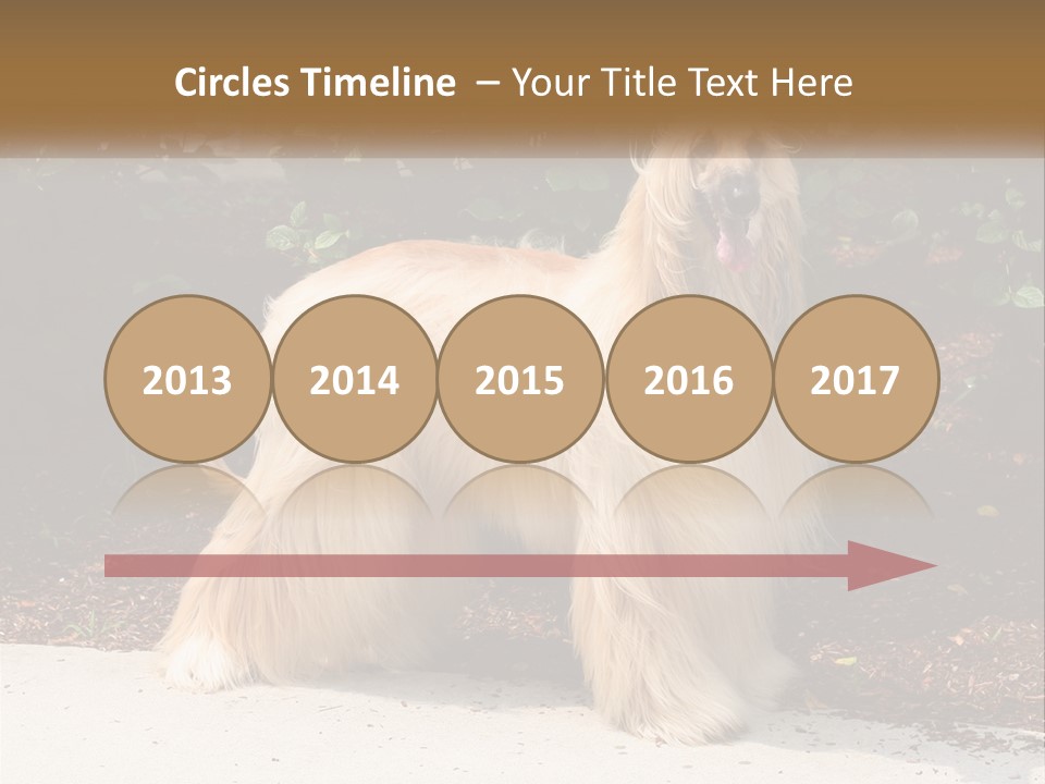 A Shaggy Dog Standing In Front Of A Bush PowerPoint Template