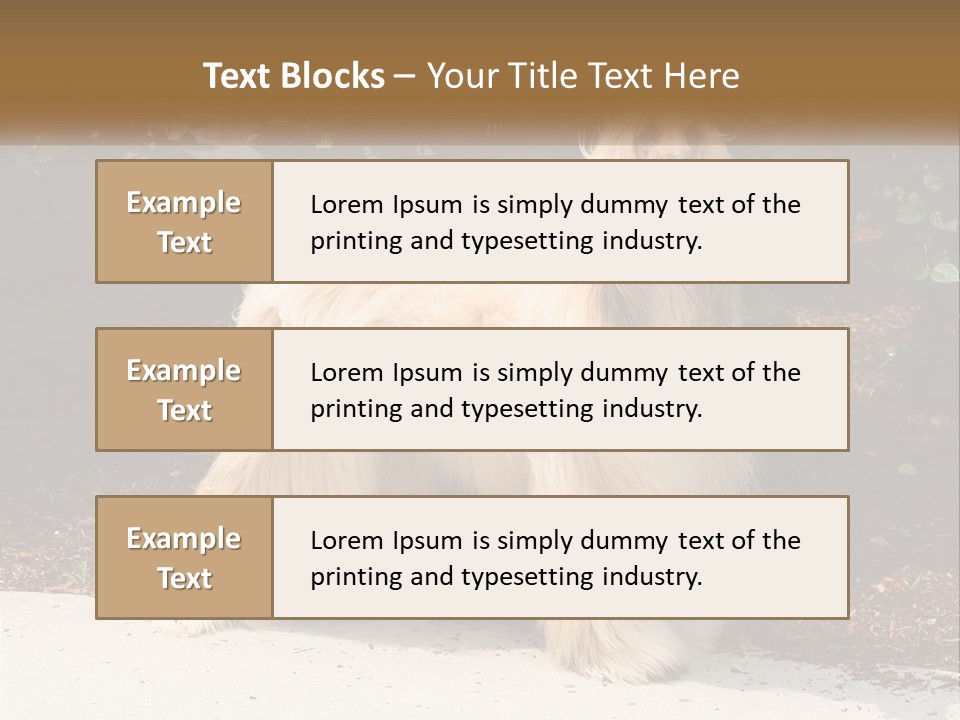 A Shaggy Dog Standing In Front Of A Bush PowerPoint Template