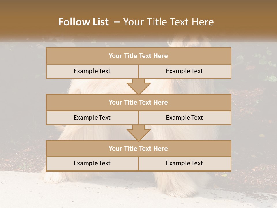 A Shaggy Dog Standing In Front Of A Bush PowerPoint Template