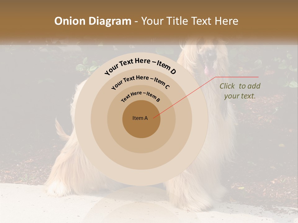 A Shaggy Dog Standing In Front Of A Bush PowerPoint Template