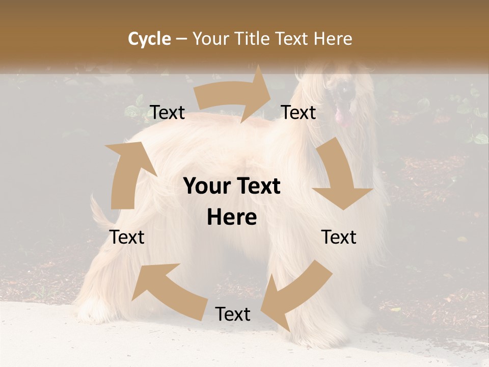 A Shaggy Dog Standing In Front Of A Bush PowerPoint Template