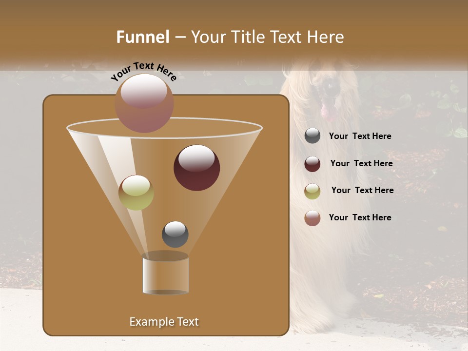 A Shaggy Dog Standing In Front Of A Bush PowerPoint Template