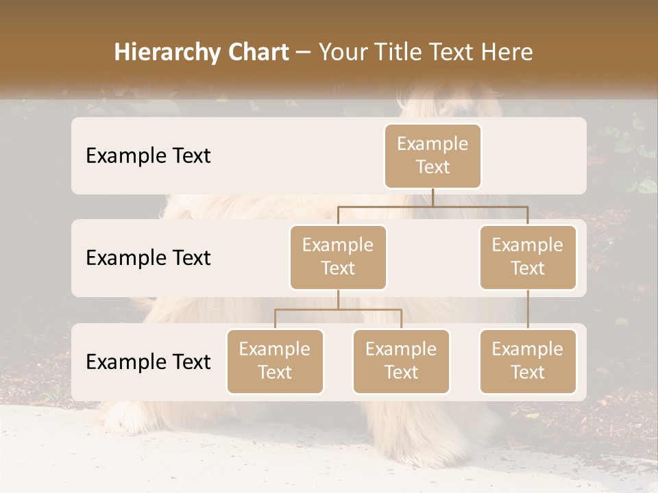 A Shaggy Dog Standing In Front Of A Bush PowerPoint Template