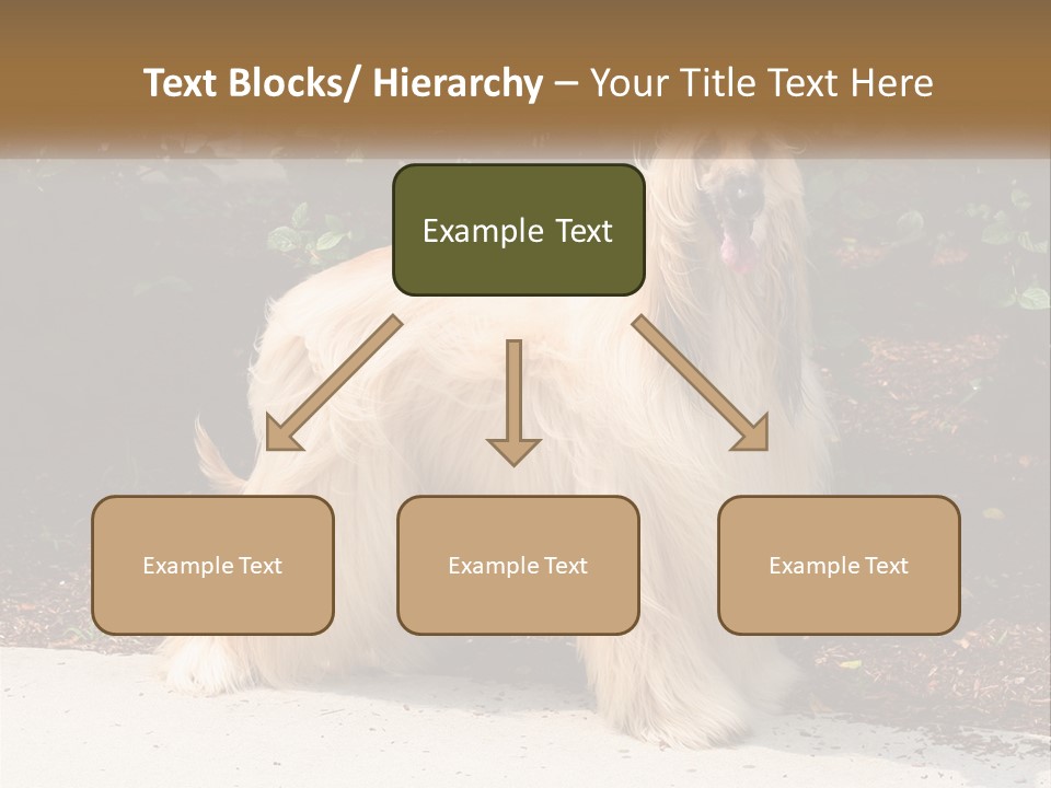 A Shaggy Dog Standing In Front Of A Bush PowerPoint Template