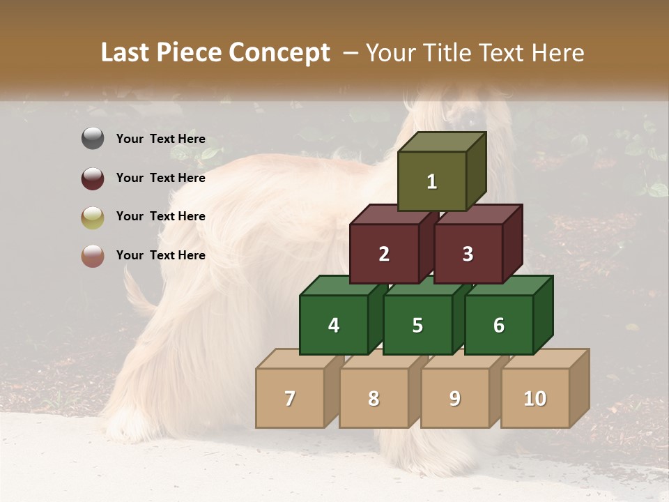 A Shaggy Dog Standing In Front Of A Bush PowerPoint Template