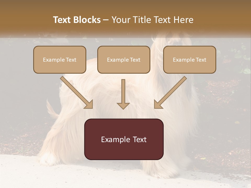 A Shaggy Dog Standing In Front Of A Bush PowerPoint Template