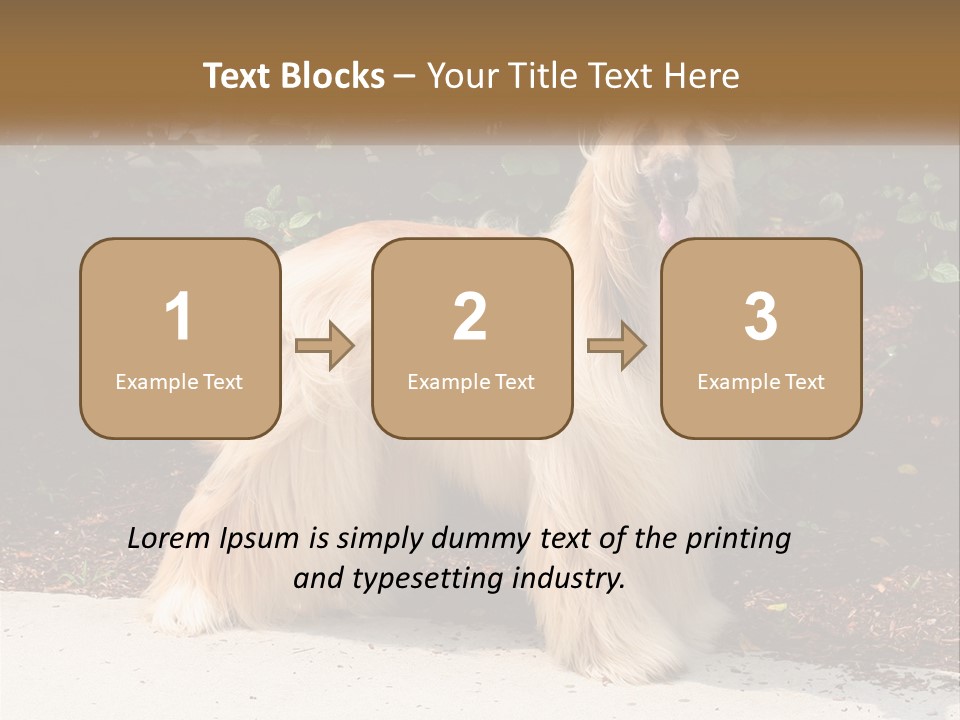 A Shaggy Dog Standing In Front Of A Bush PowerPoint Template