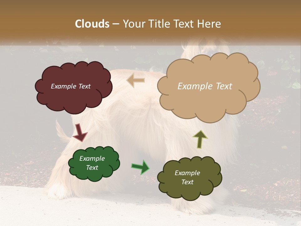 A Shaggy Dog Standing In Front Of A Bush PowerPoint Template