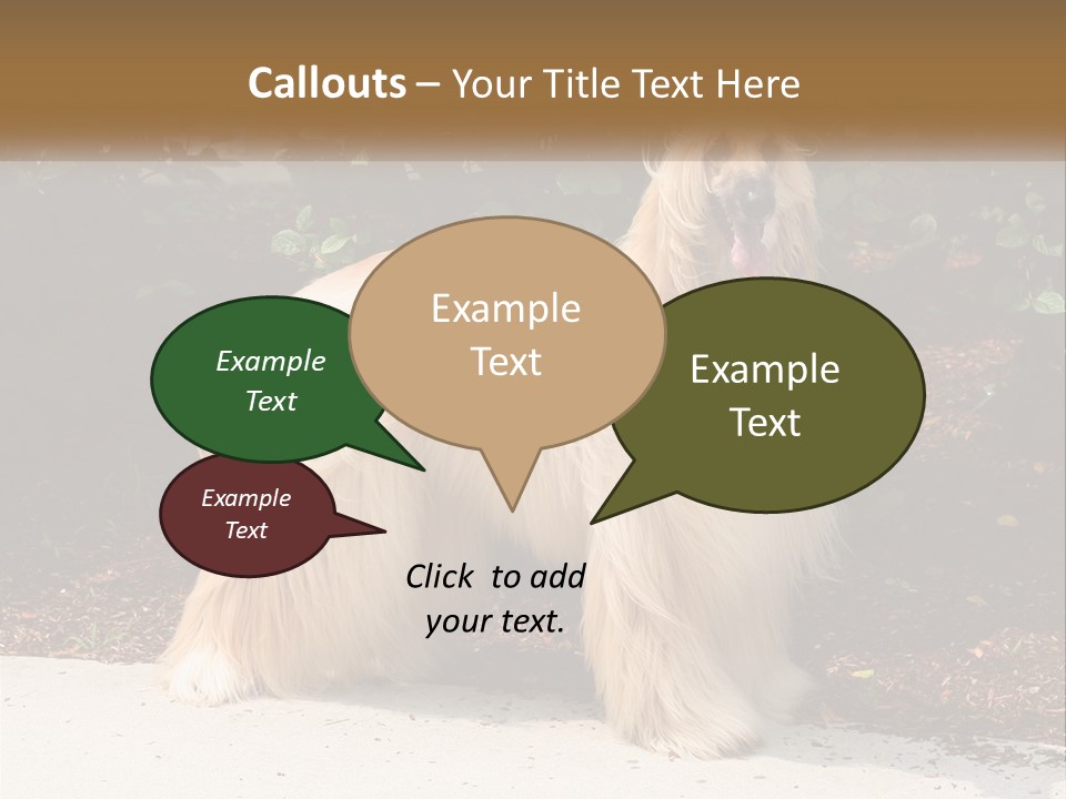 A Shaggy Dog Standing In Front Of A Bush PowerPoint Template