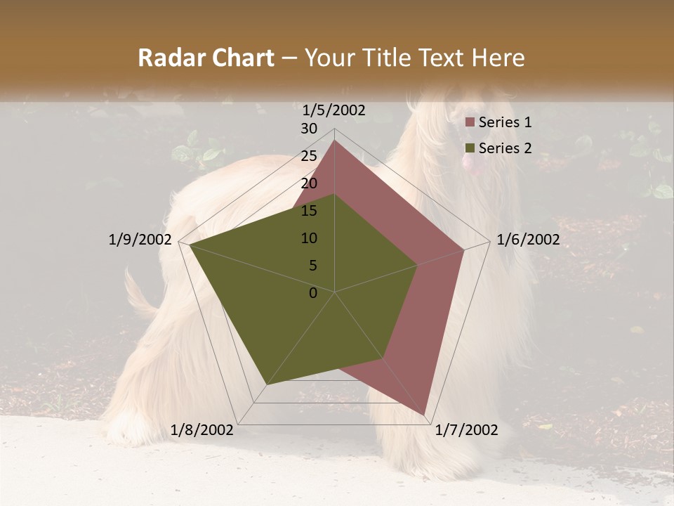 A Shaggy Dog Standing In Front Of A Bush PowerPoint Template