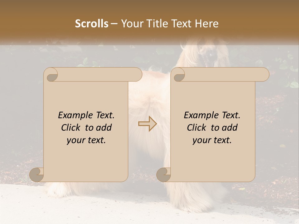 A Shaggy Dog Standing In Front Of A Bush PowerPoint Template