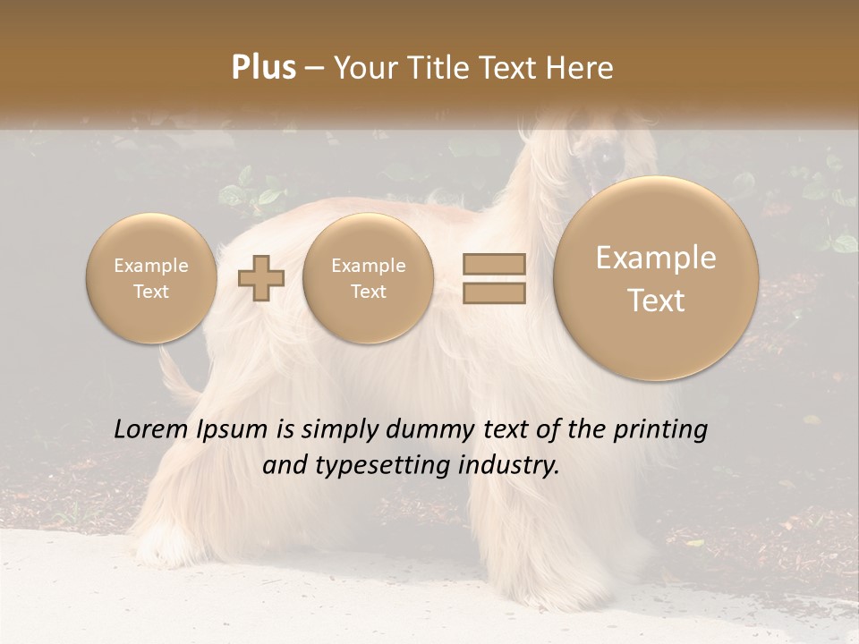 A Shaggy Dog Standing In Front Of A Bush PowerPoint Template