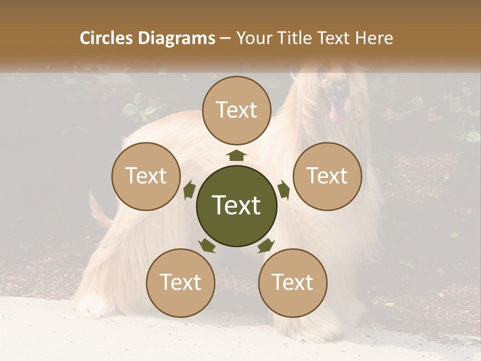 A Shaggy Dog Standing In Front Of A Bush PowerPoint Template