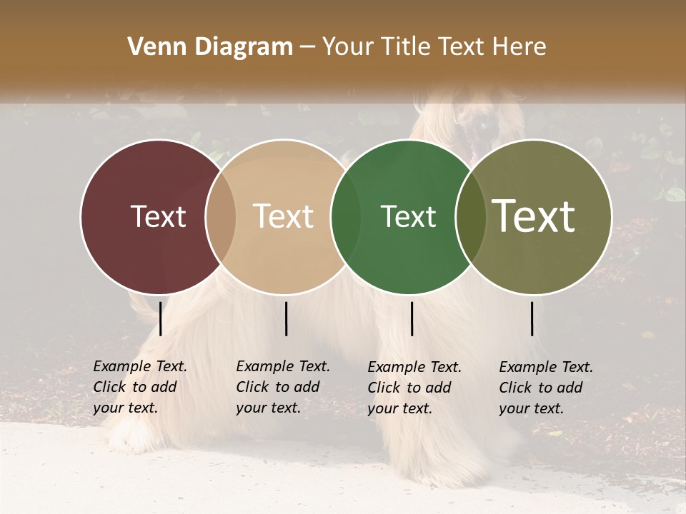 A Shaggy Dog Standing In Front Of A Bush PowerPoint Template