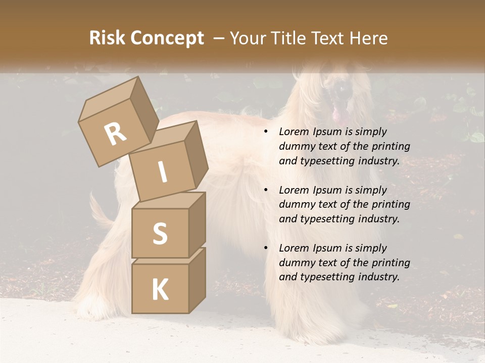 A Shaggy Dog Standing In Front Of A Bush PowerPoint Template