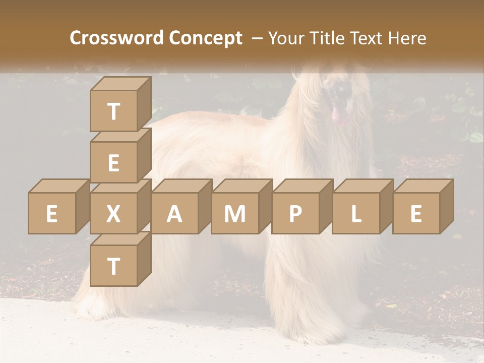 A Shaggy Dog Standing In Front Of A Bush PowerPoint Template