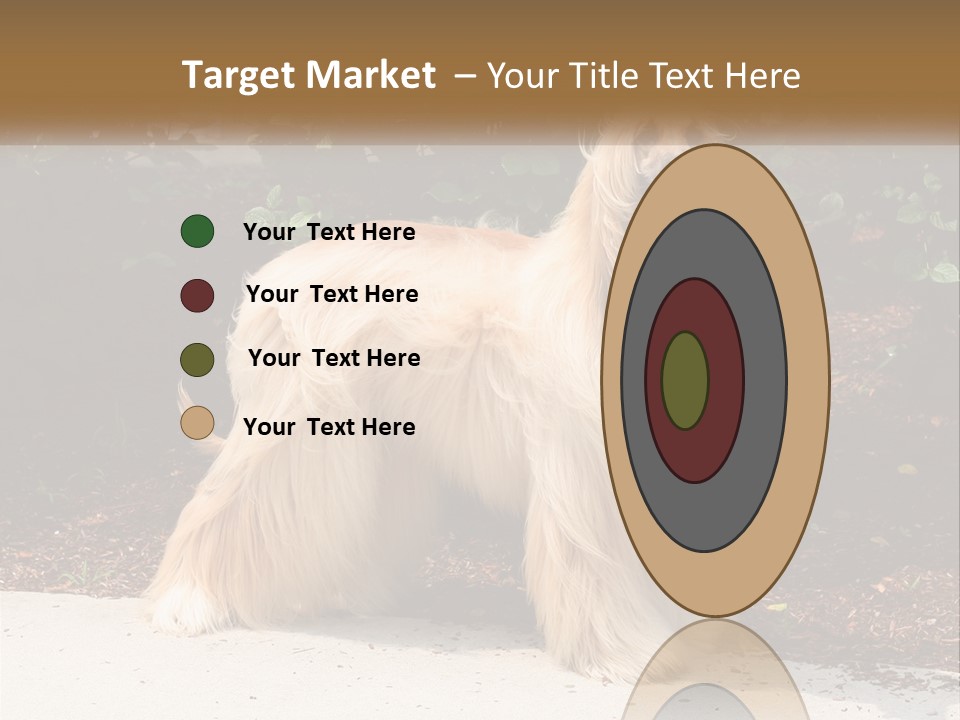 A Shaggy Dog Standing In Front Of A Bush PowerPoint Template