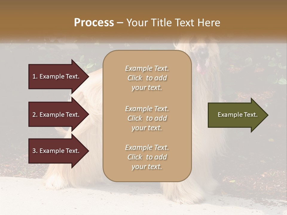 A Shaggy Dog Standing In Front Of A Bush PowerPoint Template