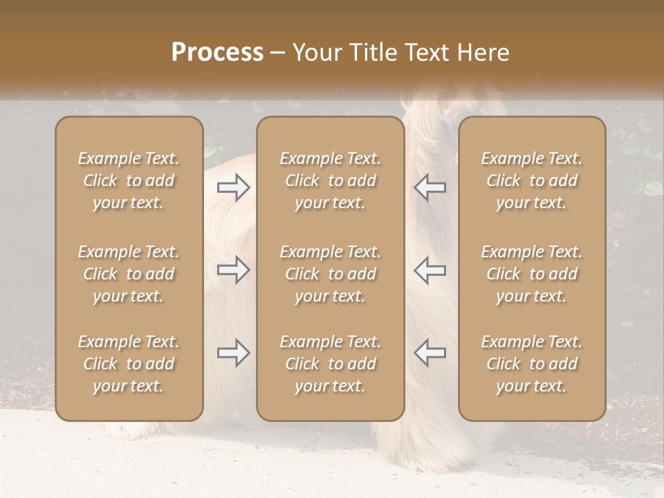 A Shaggy Dog Standing In Front Of A Bush PowerPoint Template